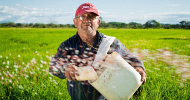 Is the EU Deregulating Pesticides? What the New Draft Really Means for Farmers, Pesticide Companies and Consumers