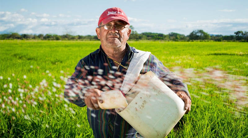 Is the EU Deregulating Pesticides? What the New Draft Really Means for Farmers, Pesticide Companies and Consumers