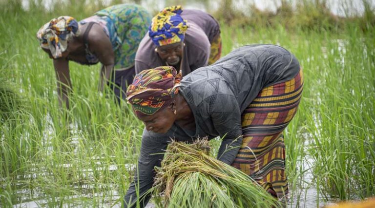 African Development Fund commits $14 million grant to scaling up climate resilience across the Sahel