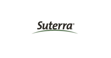 Suterra Launches BioMagnet Ruby™: Attract-and-Kill Insecticide for Spotted Wing Drosophila in California, USA