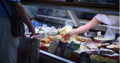 FAO-WHO 48th Session of the Codex Alimentarius Commission Adopts New Standards