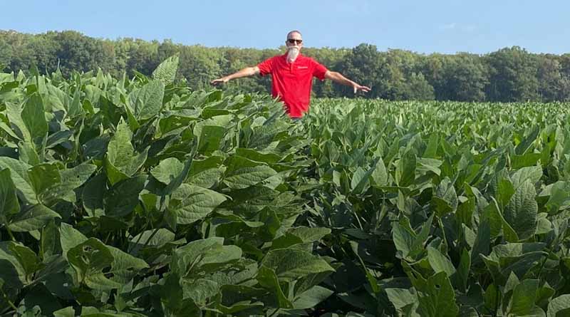 Syngenta Introduces Victrato Seed Treatment For Unrivaled Nematode And Disease Protection