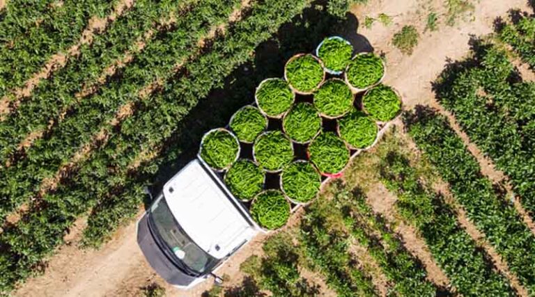 Syngenta Opens Cropwise Digital Platform to Developers To Co-Innovate and Tackle Agriculture’s Technology Divide