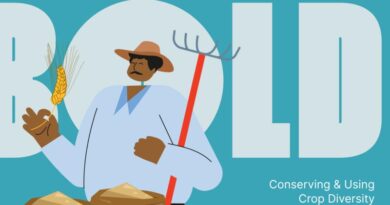 New Online Experience: Conserving and Using Crop Diversity