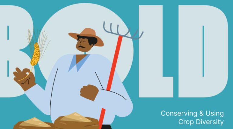New Online Experience: Conserving and Using Crop Diversity