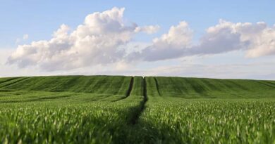 Agricultural Parallel Session of the 8th Hongqiao International Economic Forum Convenes