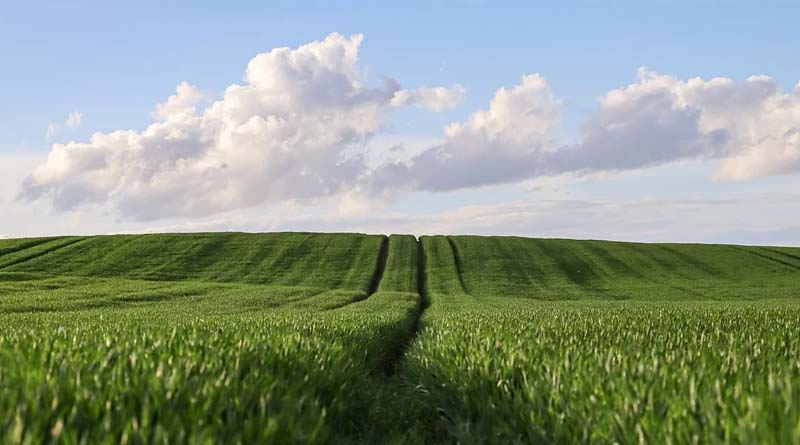 Agricultural Parallel Session of the 8th Hongqiao International Economic Forum Convenes