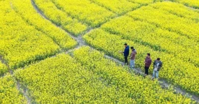 Parallel Forum I of the Global South Modernization Forum Highlights China’s Poverty Alleviation Practices and Cooperation with the Global South