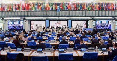 Codex Commission Sets New Lead Limits for Spices and Herbs to Protect Consumers and Ensure Fair Trade