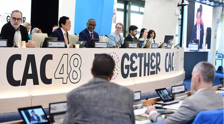 Codex Introduces First-Ever International Standard for Fresh Dates to Boost Global Trade and Quality Assurance