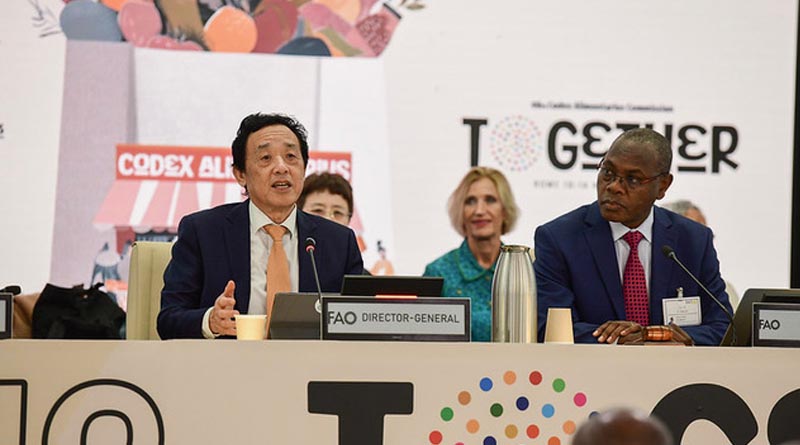 Codex Revises Aflatoxin Code of Practice for Peanuts, Strengthens Global Measures Against Carcinogenic Contaminants