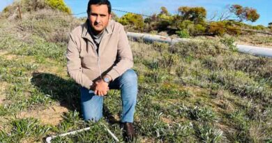 Garden Beauty Turns Into Paddock Pain