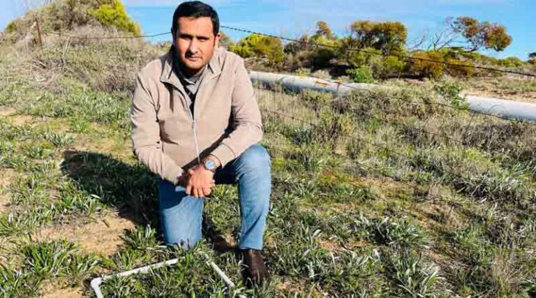 Garden Beauty Turns Into Paddock Pain