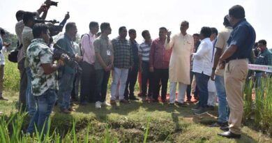 Odisha’s Deputy CM Calls for Scaling of Healthier and Indigenous Rice