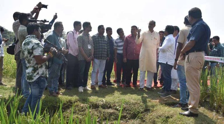 Odisha’s Deputy CM Calls for Scaling of Healthier and Indigenous Rice