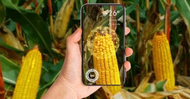 Syngenta Opens Cropwise Digital Platform To Developers To Co-Innovate And Tackle Agriculture’s Technology Divide Syngenta Opens Cropwise Digital Platform To Developers To Co-Innovate And Tackle Agriculture’s Technology Divide