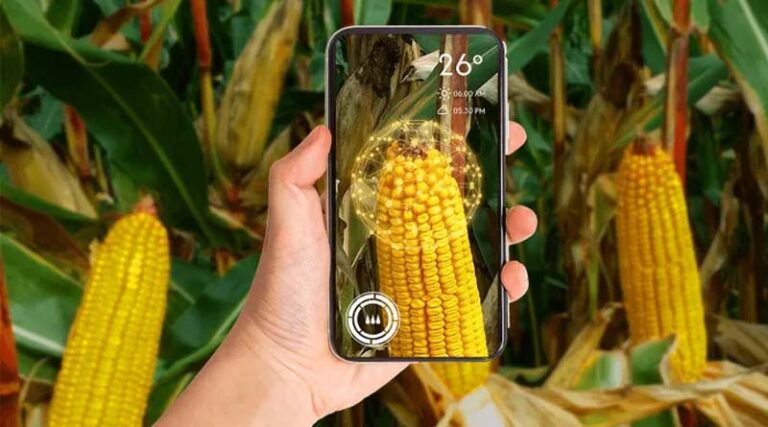 Syngenta Opens Cropwise Digital Platform To Developers To Co-Innovate And Tackle Agriculture’s Technology Divide