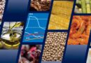 FAO Food Outlook Points To Broad-based Increase In Global Food Commodity Production FAO Food Outlook Points To Broad-based Increase In Global Food Commodity Production