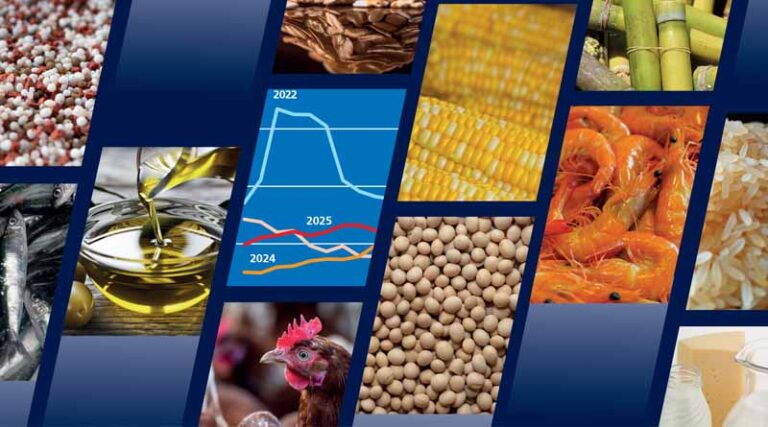 FAO Food Outlook Points To Broad-based Increase In Global Food Commodity Production