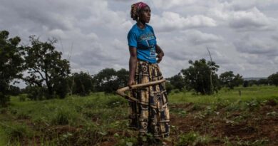 One Health Research: The Three Big Questions