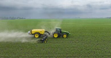 Triple Superphosphate: Fertilizer, Uses, Price, Advantages, Availability