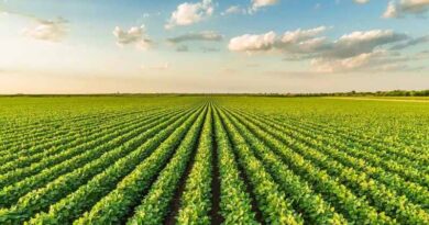 TFI Statement on Fertilizer Tariff Exemption