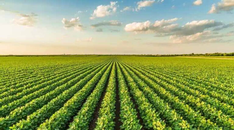 TFI Statement on Fertilizer Tariff Exemption