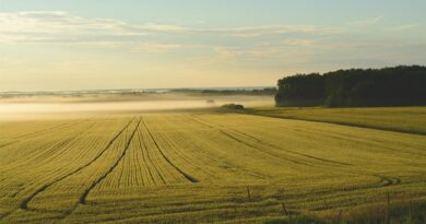 UNCCD COP16 Saudi Presidency Showcases Private Sector Momentum For Land Restoration at COP30 in Brazil