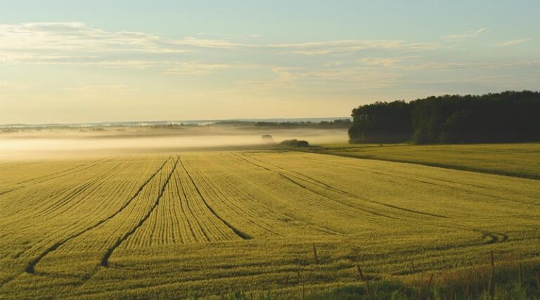 UNCCD COP16 Saudi Presidency Showcases Private Sector Momentum For Land Restoration at COP30 in Brazil