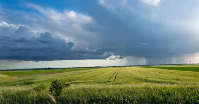 Netherlands: Use of Pesticides in Agriculture Down by Over 20 Percent Since 2020