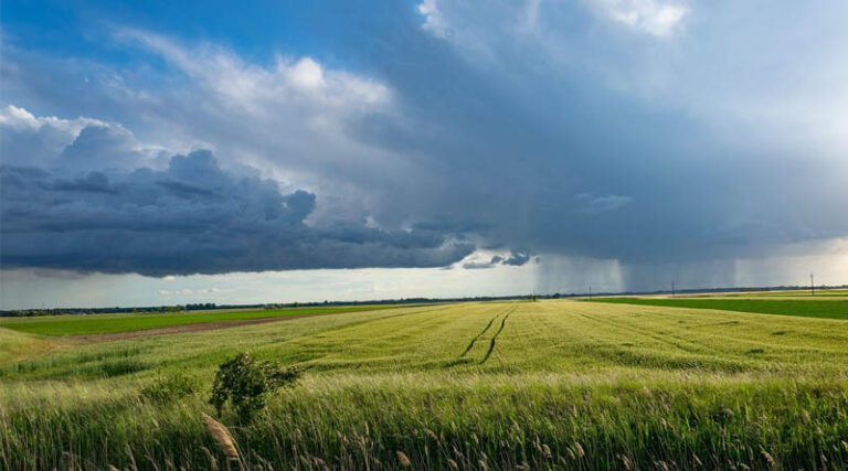 Netherlands: Use of Pesticides in Agriculture Down by Over 20 Percent Since 2020