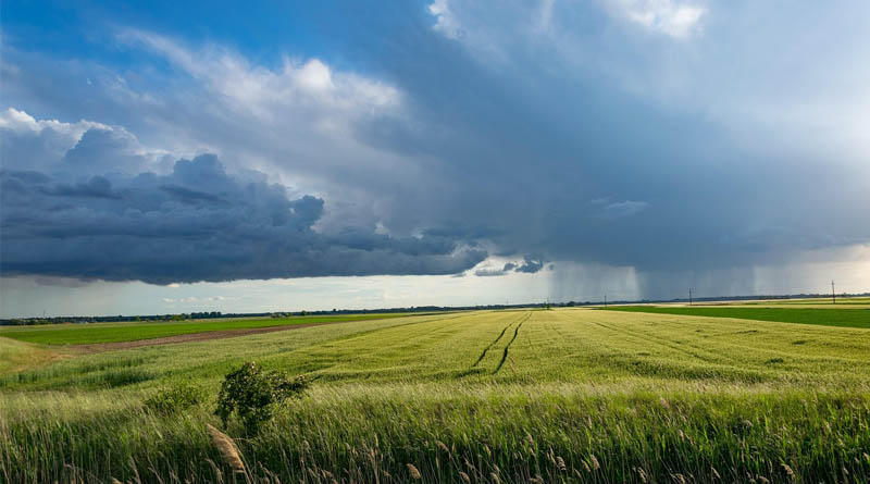 Netherlands: Use of Pesticides in Agriculture Down by Over 20 Percent Since 2020