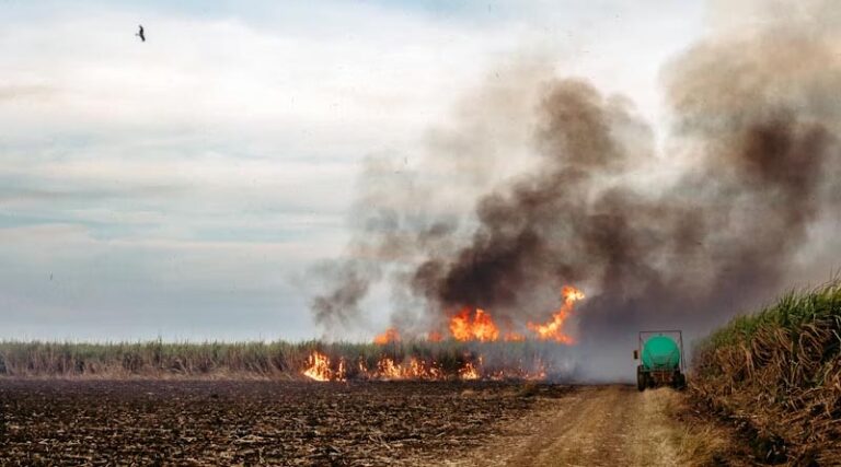 Why Farmers Are Penalised for Stubble Burning While Larger Polluters Go Unchecked