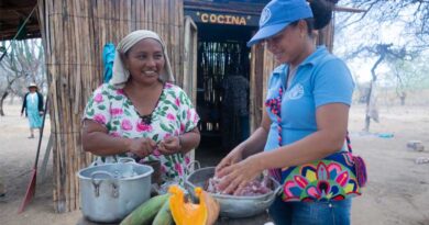 COP30: Landmark Report Finds Countries’ Climate Agrifood Ambitions Undermined By Funding Gaps