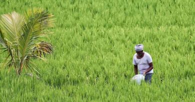 India Reinstates Paddy Flooding Cover Under PMFBY; Wild Animal Loss Added as Add-on Risk
