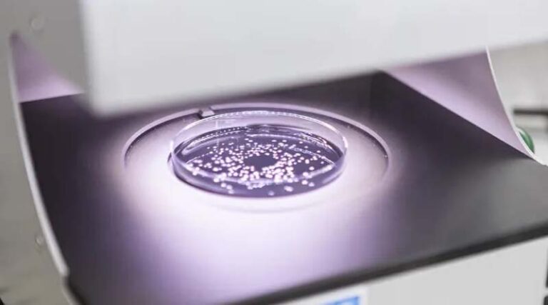 Syngenta and Amoéba SA Sign MoU to Develop and Commercialize New Biocontrol Solutions for EU and UK