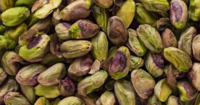 Is Pistachio the New Matcha? Why It’s Becoming 2025’s Fastest-Growing Global Flavour
