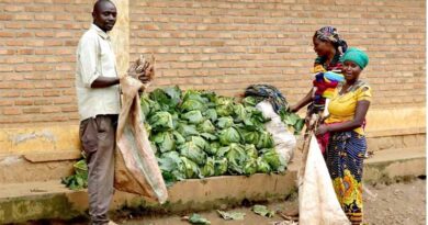 One Health In Burundi: Solving Challenges To Human, Animal, Plant And Ecosystem Health