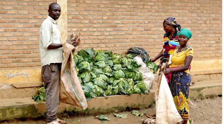One Health In Burundi: Solving Challenges To Human, Animal, Plant And Ecosystem Health