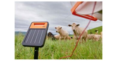 Rotational Grazing: Simple Tools, Big Farm Benefits