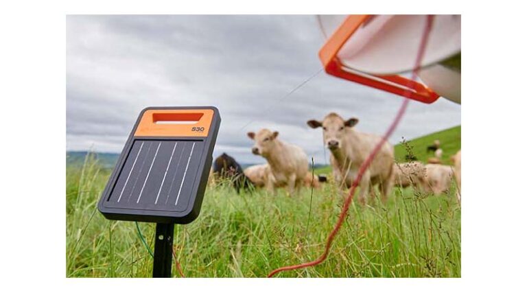 Rotational Grazing: Simple Tools, Big Farm Benefits