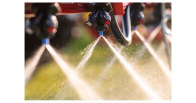 The Importance Of Summer Weed Control