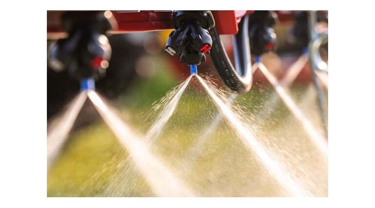 The Importance Of Summer Weed Control