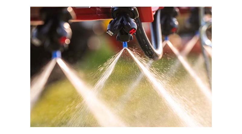 The Importance Of Summer Weed Control