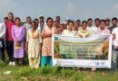 Sowing Partnerships, Harvesting Prosperity: Promoting Sustainable Seed Business Model in Nepal