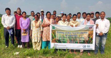 Sowing Partnerships, Harvesting Prosperity: Promoting Sustainable Seed Business Model in Nepal