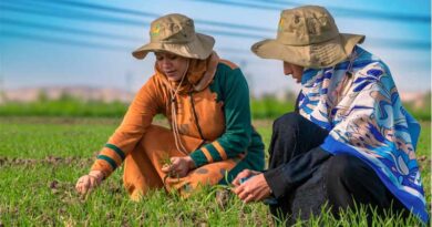 Women And Smallholder Farming In Mena – A Book Chapter