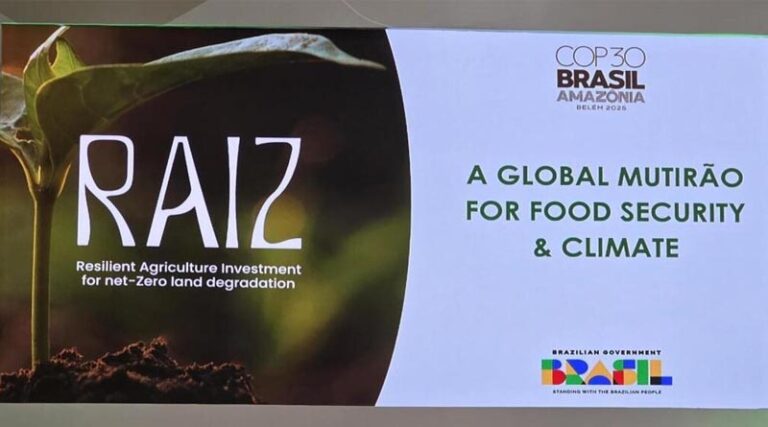 COP30: Eight Countries Back RAIZ - the Brazil-led Finance Accelerator to Scale Farmland Restoration Worldwide