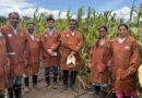 Cross-Continental Learning: Indian Maize Scientists Visit CIMMYT-Kenya Under ICAR-CIMMYT Collaboration