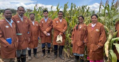 Cross-Continental Learning: Indian Maize Scientists Visit CIMMYT-Kenya Under ICAR-CIMMYT Collaboration